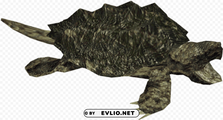 snapping turtle Isolated Character on HighResolution PNG PNG transparent with Clear Background ID 6211ad46