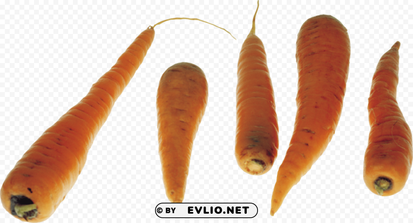 carrot PNG images with no watermark