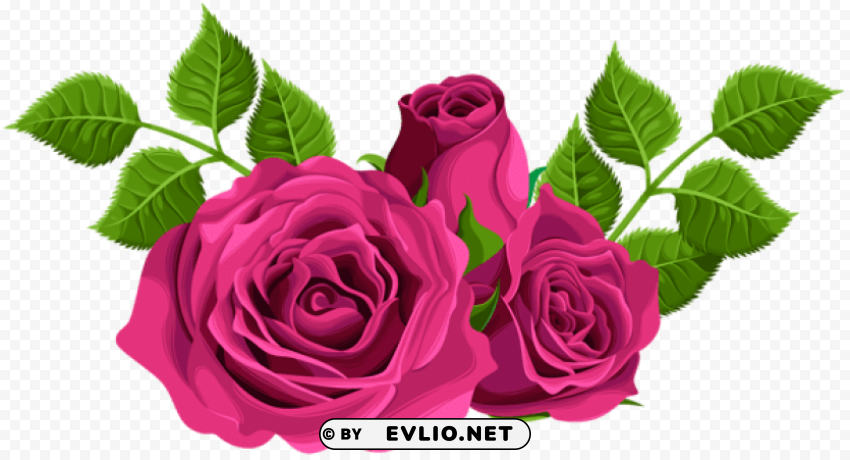 PNG image of pink roses decorative Transparent Background Isolated PNG Item with a clear background - Image ID 6f1fc84b