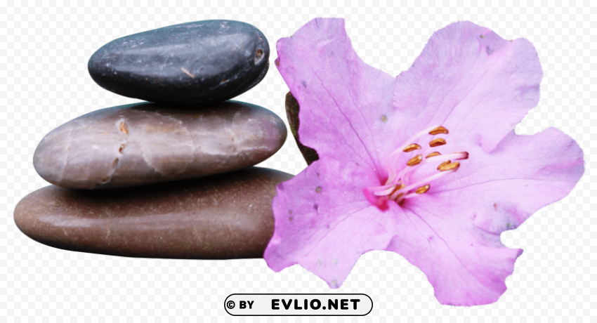 Spa Stone PNG Transparent Photos Assortment