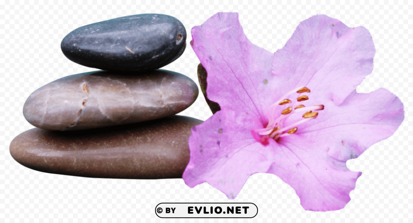 spa stone PNG clipart with transparency