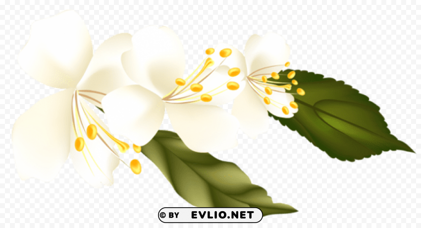 spring branchelement picture PNG images with clear backgrounds