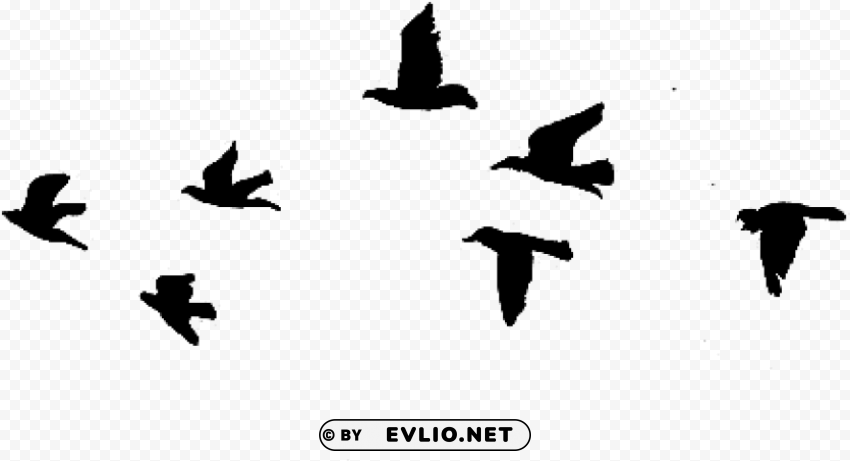 flying birds gif drawing PNG images with transparent elements