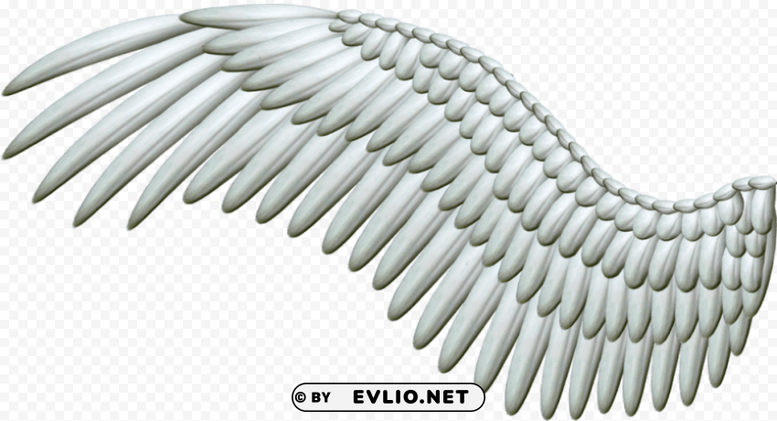 White Wings Clear Image PNG