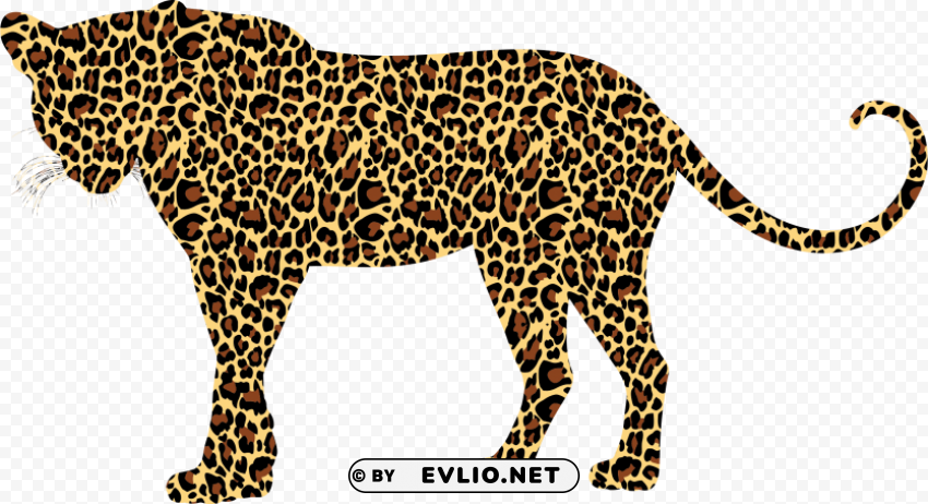 cheetah no Isolated Element in HighResolution Transparent PNG