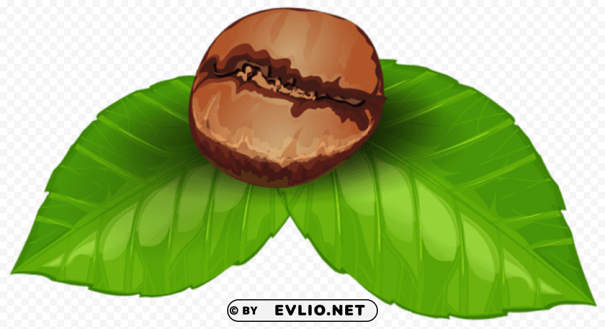 coffee bean HighResolution PNG Isolated Artwork