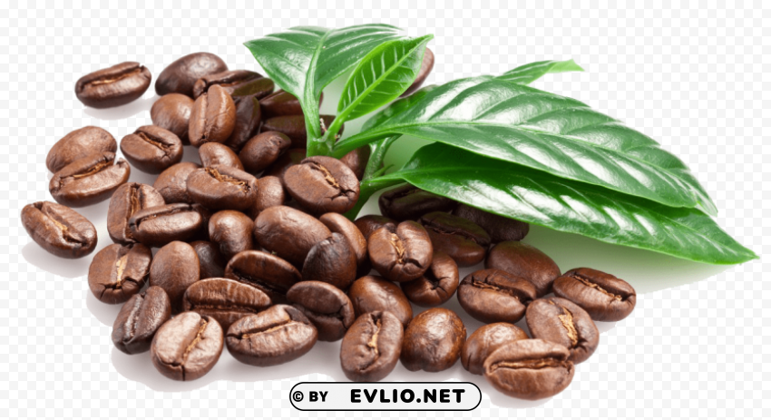 coffee beans High-resolution transparent PNG images variety
