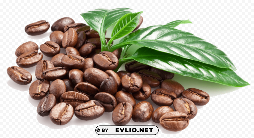 Coffee Beans High-resolution Transparent PNG Images Variety