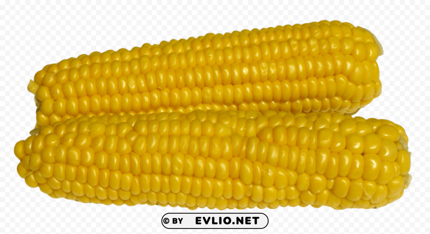 corn PNG files with transparent elements wide collection