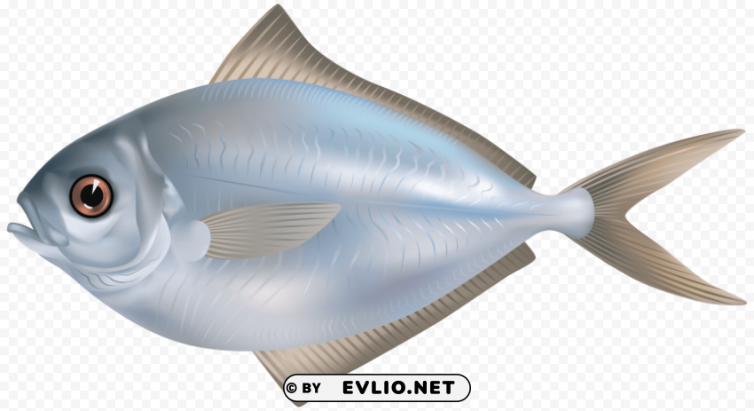 fish Transparent PNG Isolated Subject Matter