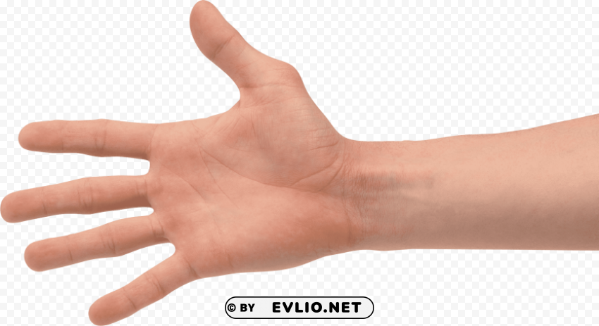 four finger hand Transparent Background PNG Isolated Item