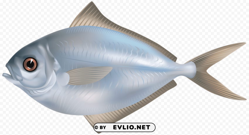 grey butter fish image Transparent Background Isolated PNG Item