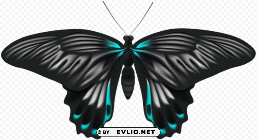 black blue butterfly PNG images with high-quality resolution