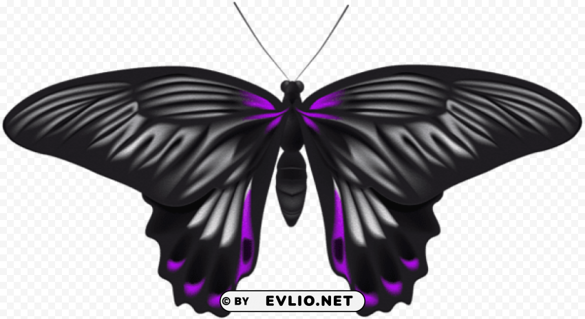 black purple butterfly PNG images with clear alpha layer clipart png photo - a3994695