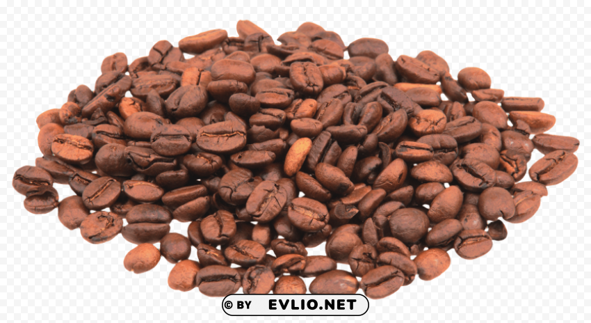 coffee beans HighQuality PNG with Transparent Isolation