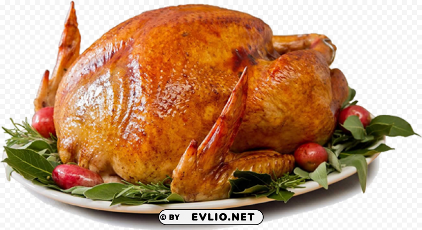 cooked turkey - turkey christmas Clear PNG graphics free