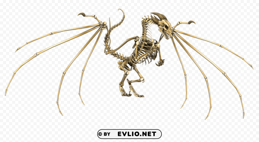 dragon skeleton PNG file with no watermark PNG transparent with Clear Background ID b75c1442