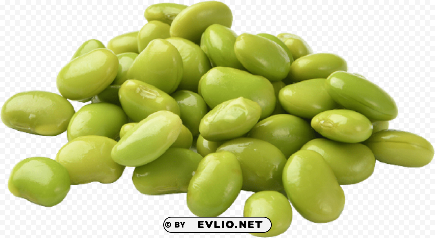 edamame image PNG Graphic with Transparent Isolation