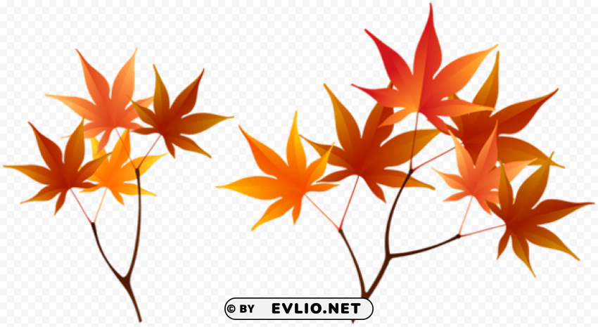 fall branches CleanCut Background Isolated PNG Graphic clipart png photo - 3dc62c15