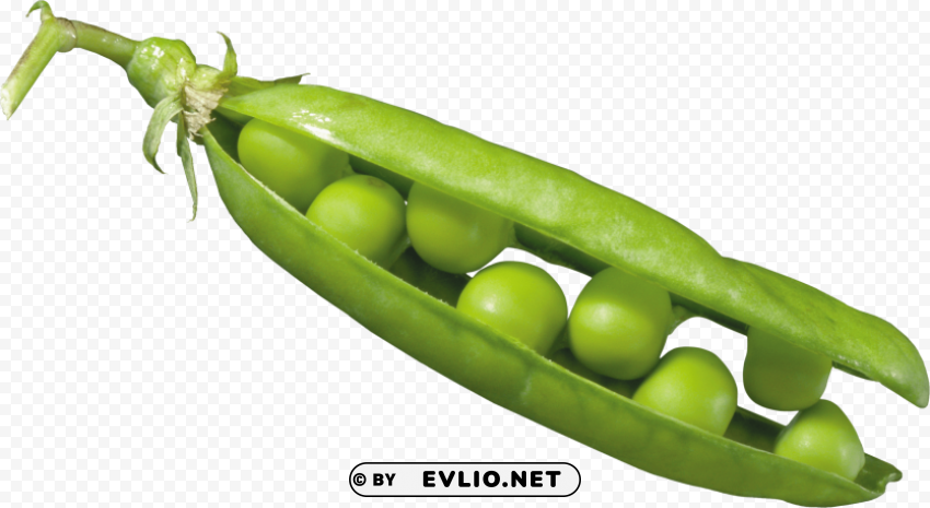 pea Free PNG transparent images