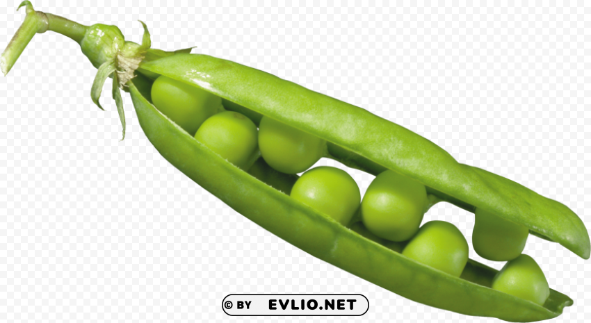 Pea Free PNG Transparent Images