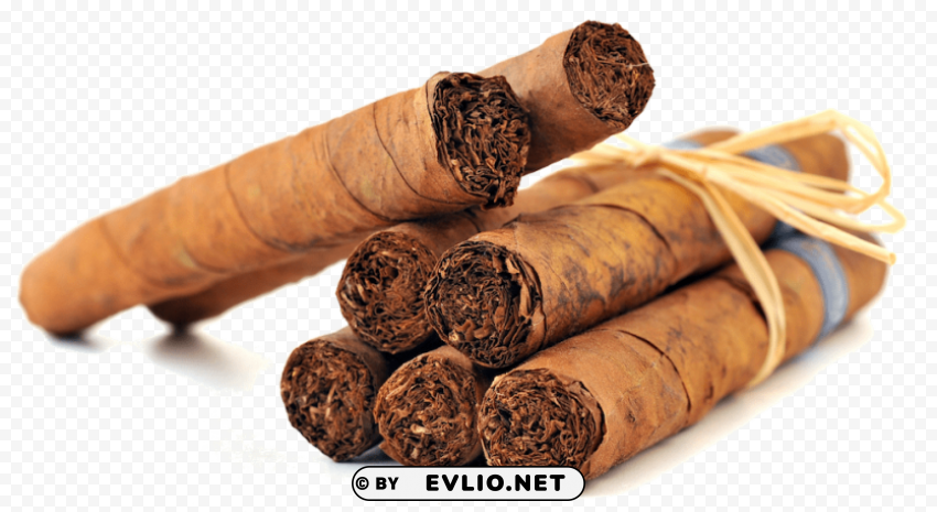 tobacco Isolated Item in Transparent PNG Format