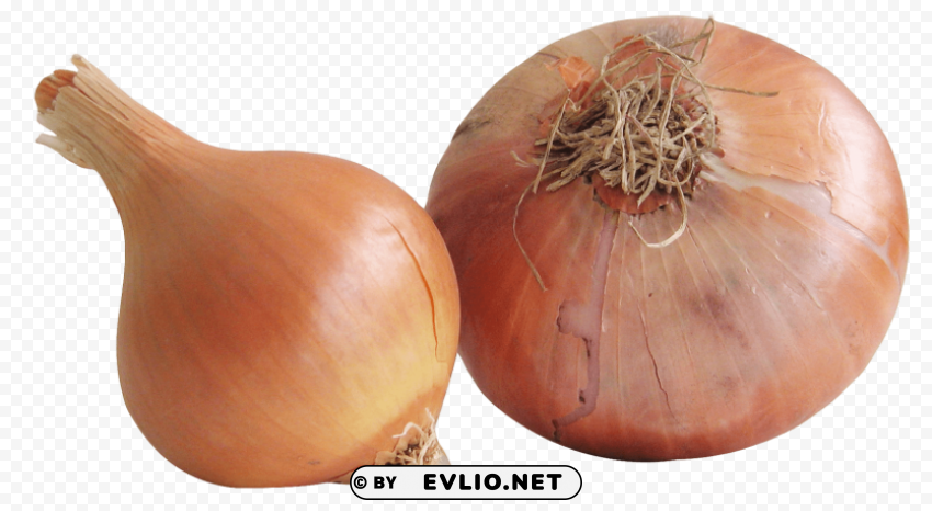 Onion Clear Background PNG Graphics