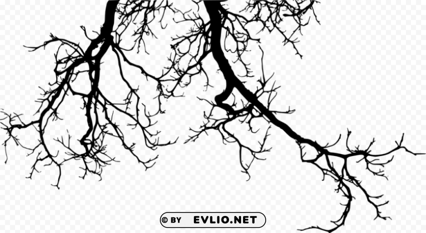 tree branches silhouette Isolated Artwork on Clear Transparent PNG