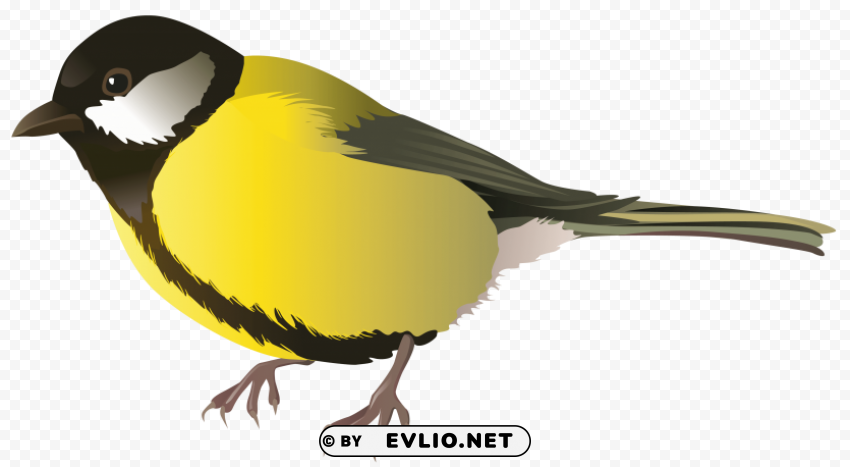 birds PNG files with no royalties