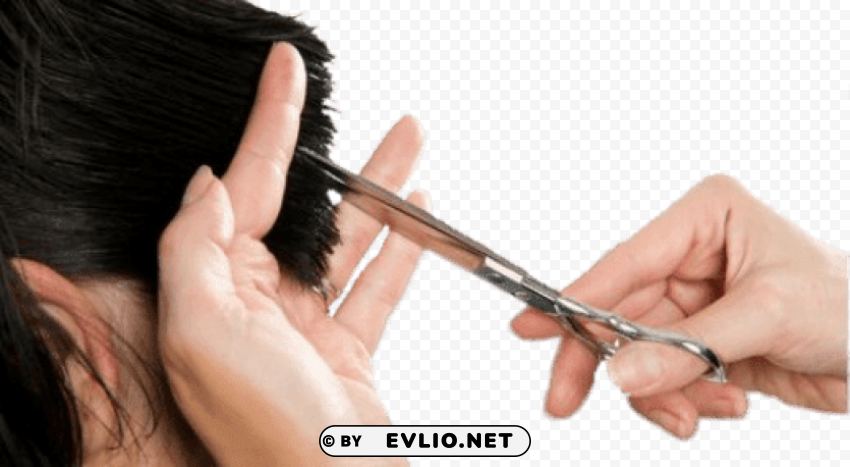 hair chipping Transparent PNG pictures for editing