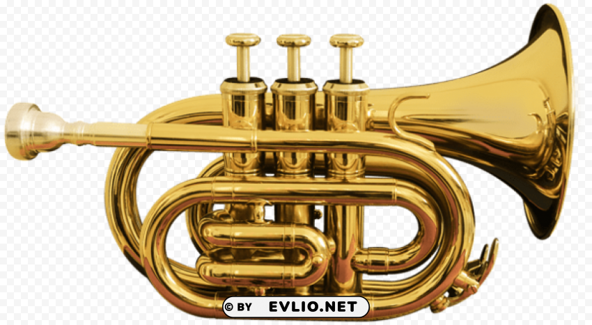 pocket trumpet Transparent PNG download