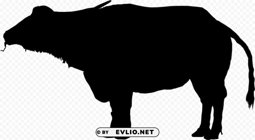 african water buffalo silhouette Isolated Character in Clear Transparent PNG PNG transparent with Clear Background ID d97b6cda