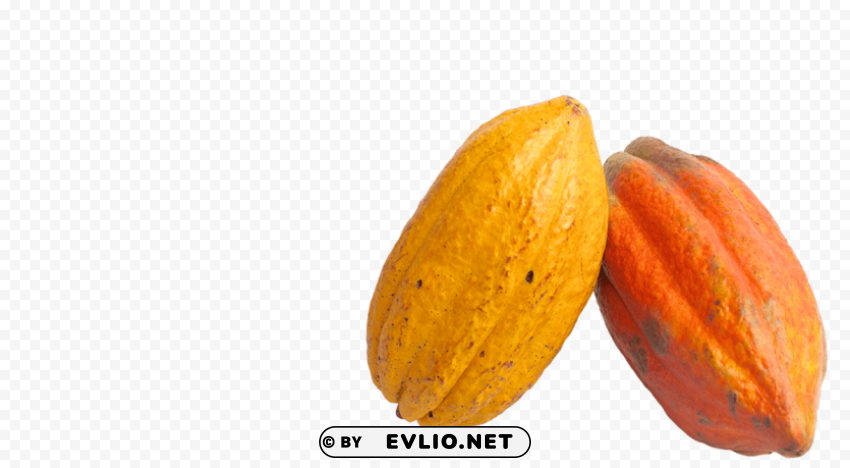 cacao Transparent PNG Isolated Object