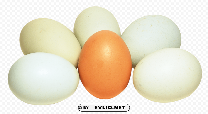 eggs Isolated Object on HighQuality Transparent PNG