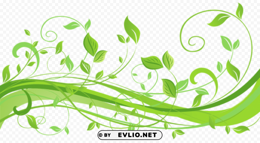 spring decoration with leaves Transparent PNG graphics variety