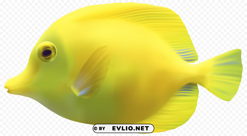 Fish Isolated Item With Transparent PNG Background