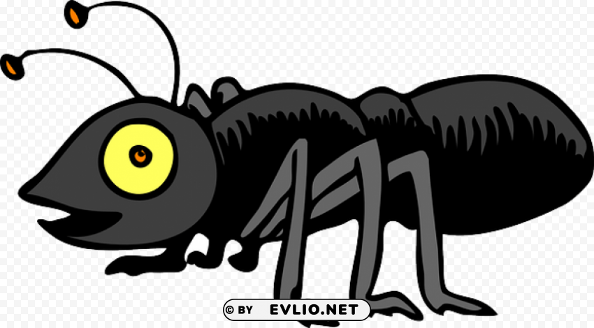 cricket insect clipart transparent PNG Graphic Isolated with Transparency