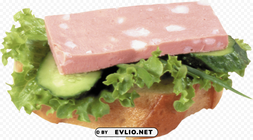 ham sandwhich PNG artwork with transparency