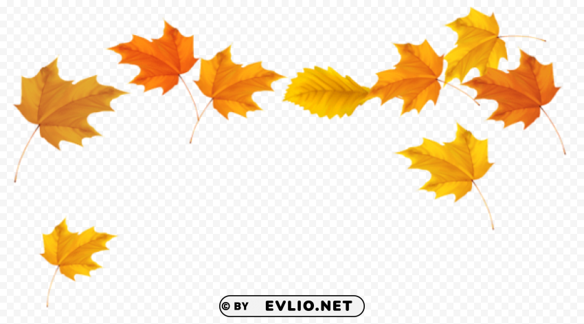fall leaves picture Transparent Background PNG Isolated Graphic
