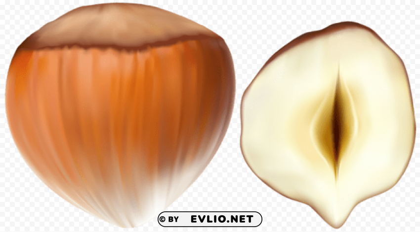 hazelnut Free PNG images with transparent layers