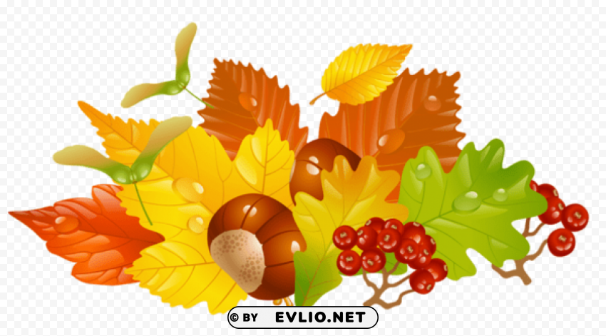  fall leaves and chestnuts picture Transparent Background Isolation in PNG Format