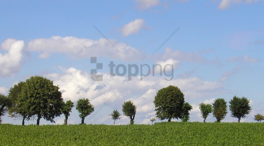 trees background image PNG graphics with alpha channel pack