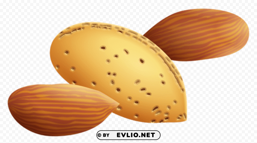 almondspicture PNG graphics