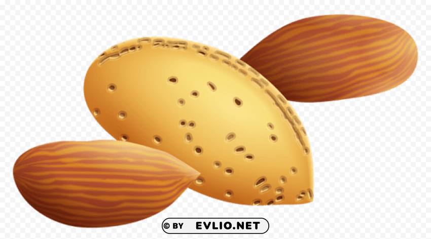 almondspicture PNG graphics clipart png photo - b119a048