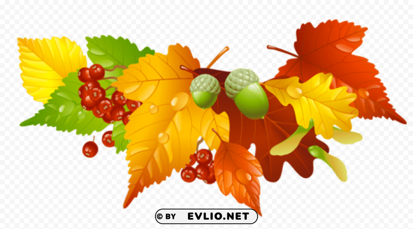 autumn leaves and acorns decor PNG images with clear backgrounds