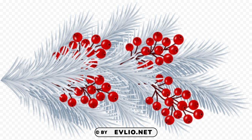 christmas white branch PNG Image with Isolated Subject PNG Images 55e9f3d7