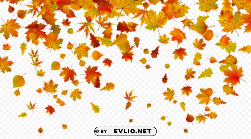  fall leaves PNG images with transparent layer