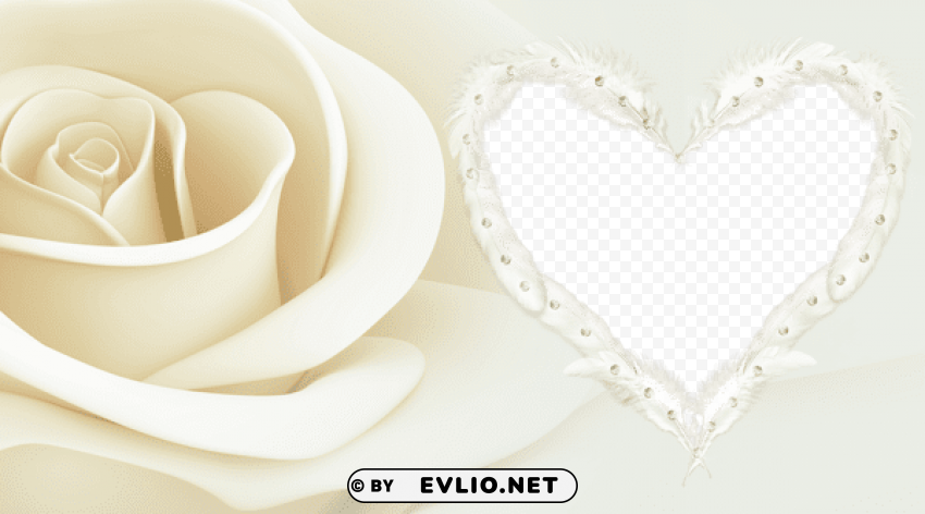  frame with rose PNG transparent images for websites