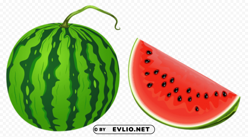 watermelon vector Isolated Item in HighQuality Transparent PNG