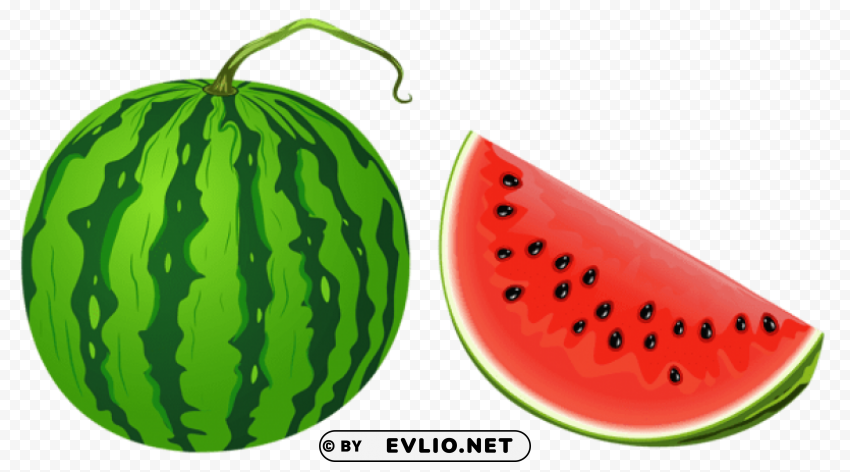 Watermelon Vector Isolated Item In HighQuality Transparent PNG